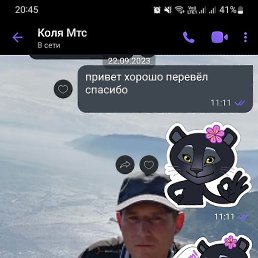 ����, �������, 40 ���