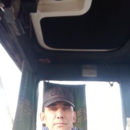 ���������, 43 ����, ��������