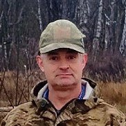 ����, 41 ���, ������