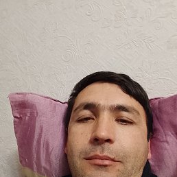 , 37, 