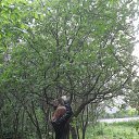 ���� �����, �������, 46 ��� - ��������� 26 ���� 2025