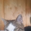 ���� ����, ������, 28 ��� - ��������� 9 ����� 2024 � ������ ���� ����������