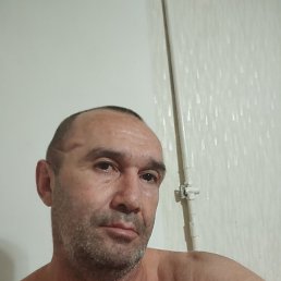 , 44, 