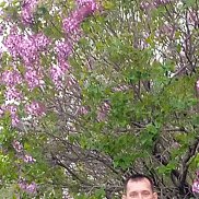 �����, 39 ���, �����������