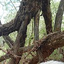  , -, 65  -  24  2025    