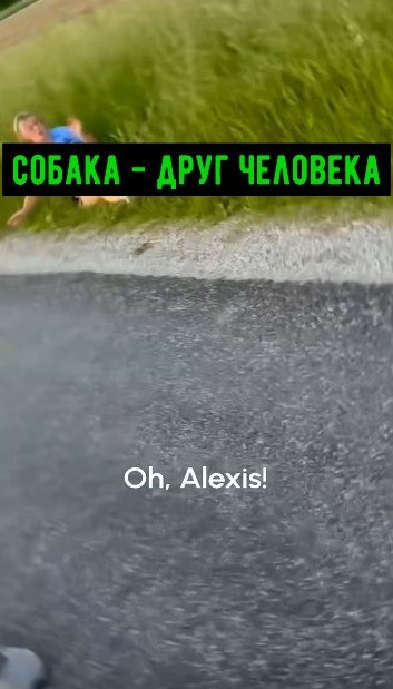 ������- ���� ��������