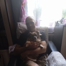 , 53, 