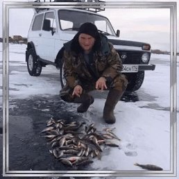 , 33, 