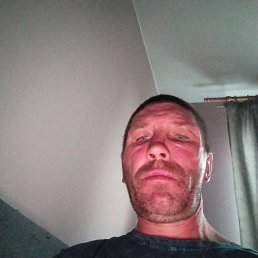 , 41 , -