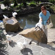 ����, , ������