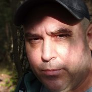 , 43 , 
