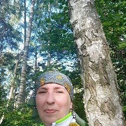 , 51, 