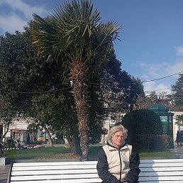 �����, ������, 49 ���