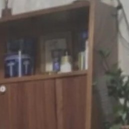 �������, �������, 49 ���