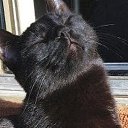 ���� ���������, ������, 28 ��� - ��������� 14 ������ 2026 � ������ ���� ����������