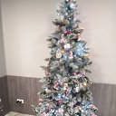 ���� ������, ������, 58 ��� - ��������� 28 ������� 2023 � ������ ���� ����������