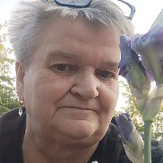 �����, 67 ���, �����