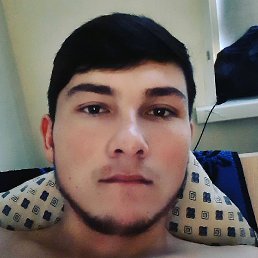 , , 29 