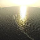 ���� �������, ��������, 51 ��� - ��������� 14 ������� 2026