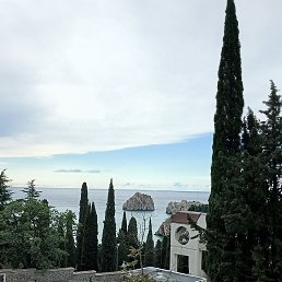 ������, �����, 50 ���