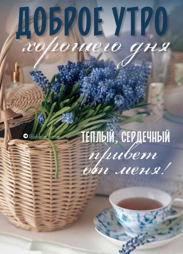 ����������� � ���������, �������� �� ������ ����. - 17 ������ 2026 � 00:29