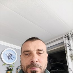 ���� �������, ������, 44 ���� - ��������� 26 ���� 2026
