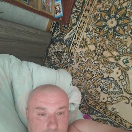 , 44, 