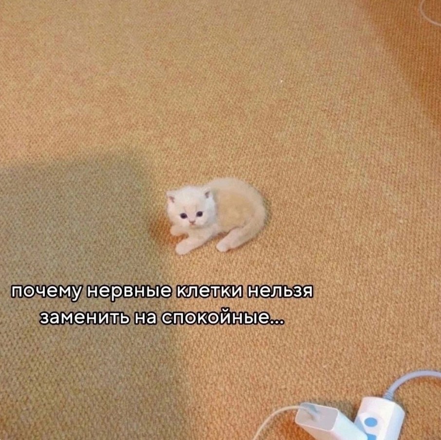 ,      :