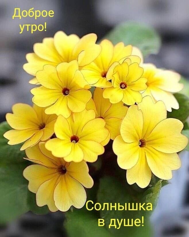   ,    . - 13  2024  21:42 - 5