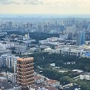 ���� ������, ������������ - ��������� 22 ������� 2025 � ������ ���� ����������