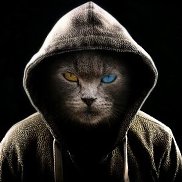 ����, 44 ����, ������