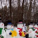  ,  , 45  -  29  2024    