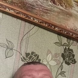 , 48, 