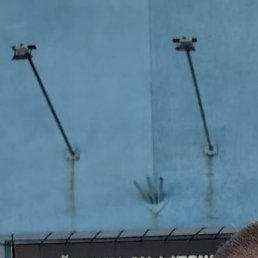 ������, �����, 51 ���