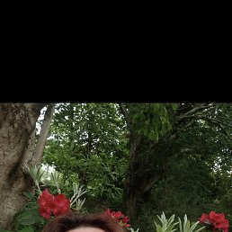 , 53, 