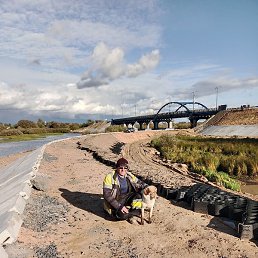 ������, �����, 64 ����