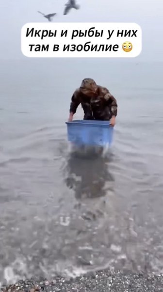   . - 2