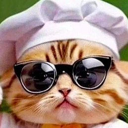 �����, ������, 52 ����