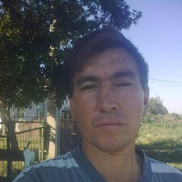 , 55, 
