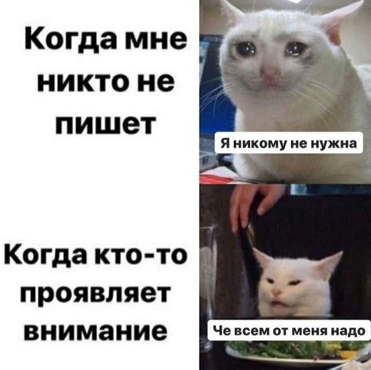  - 25  2025  21:12