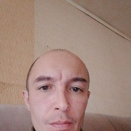, 37, 