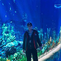 �����, 39 ���, ���������