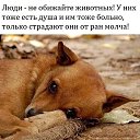 ���� ������� ������, ������, 68 ��� - ��������� 1 ������ 2025 � ������ ������