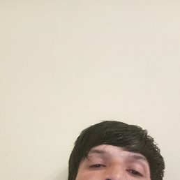 , 32, 