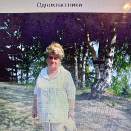 ���� �������, ����������, 68 ��� - ��������� 7 ������ 2024