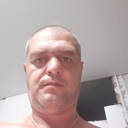  , 41 , 