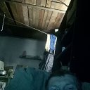 ���� �������, ������, 38 ��� - ��������� 2 ������ 2026 � ������ ���� ����������