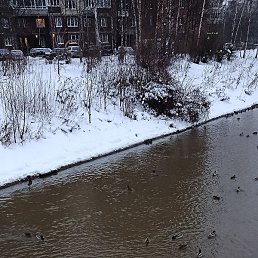 ��������, ���������, 60 ���