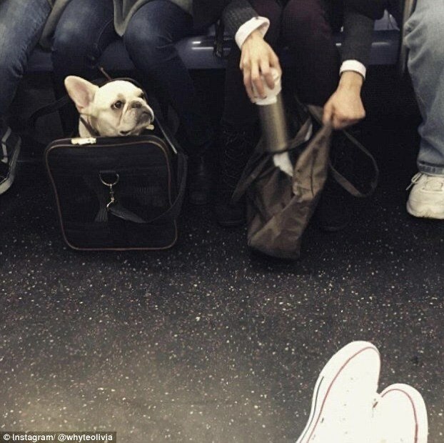  eo -oa o oo o, oo e o  . Aa  ... - 8