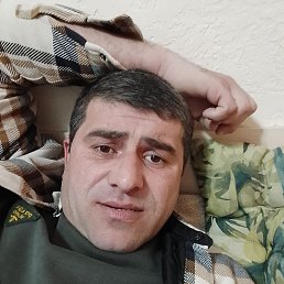 , 41, 